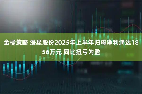金橘策略 澄星股份2025年上半年归母净利润达1856万元 同比扭亏为盈