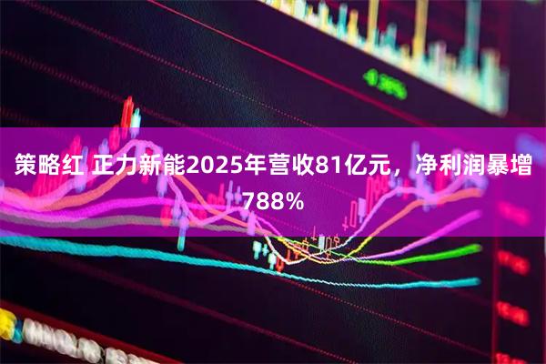 策略红 正力新能2025年营收81亿元，净利润暴增788%