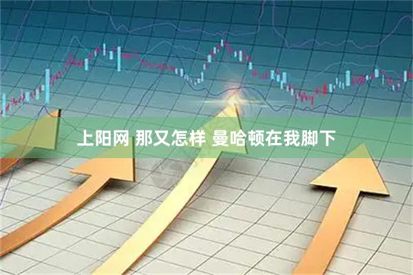 上阳网 那又怎样 曼哈顿在我脚下